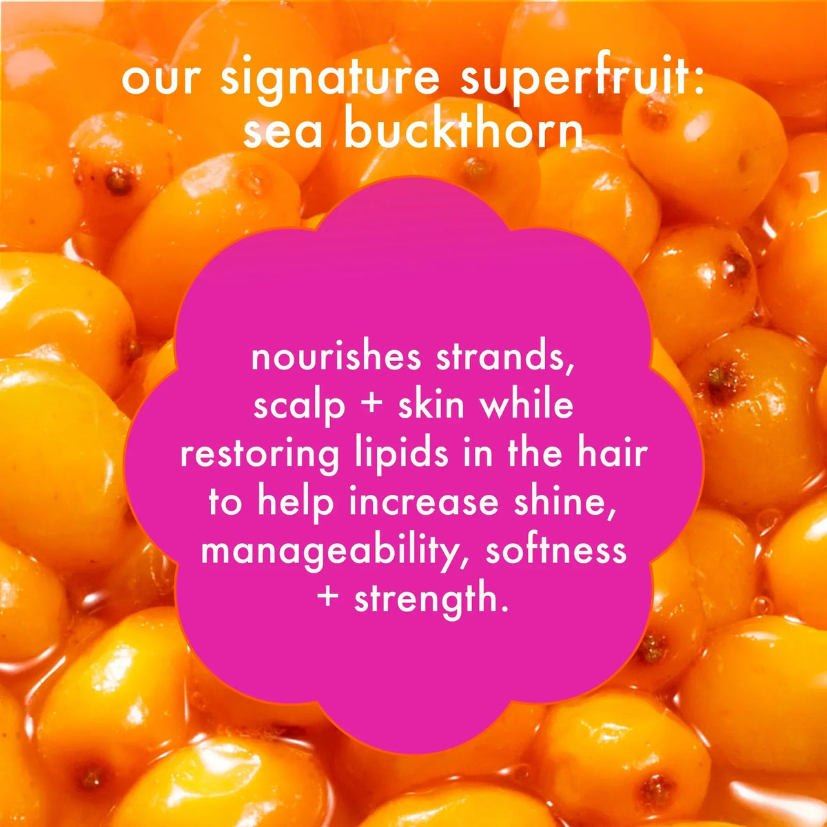 the kure strength repair conditioner forever friend bottle + pouch duo
